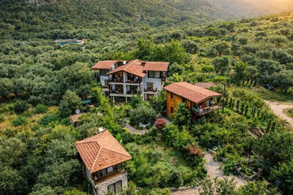 Welcome to Sayfiye Butik Otel